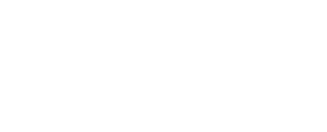 Palace Roofing